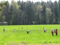 Klick f&uuml;r Gro&szlig;ansicht